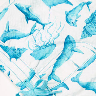 Boys Swimwear